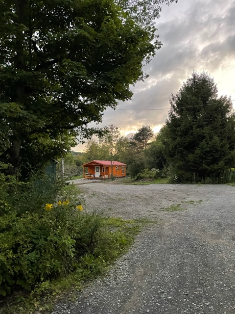Forest Moon Cottage - Photo 4