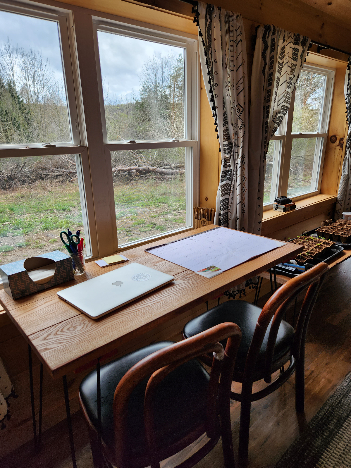 Forest Moon Cottage - Photo 10