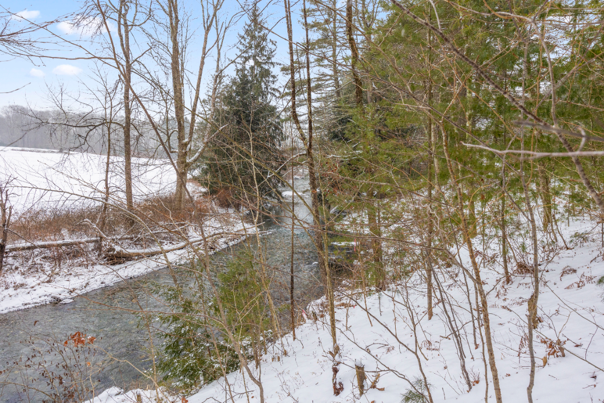 Hudson Valley and the Berkshires Cottage - Photo 4