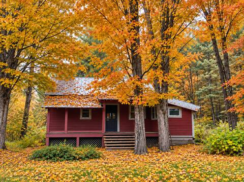 The Artist's Cabin at Red Osier Farm - Photo 1