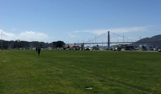 Cow Hollow Gem, Walk to Shops & Top SF Locales - Photo 3