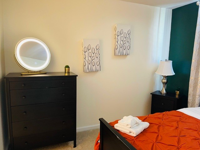 Southeast Luxe Suite (Private Entrance, Entire Floor) Near Metro & Hospitals - Photo 9