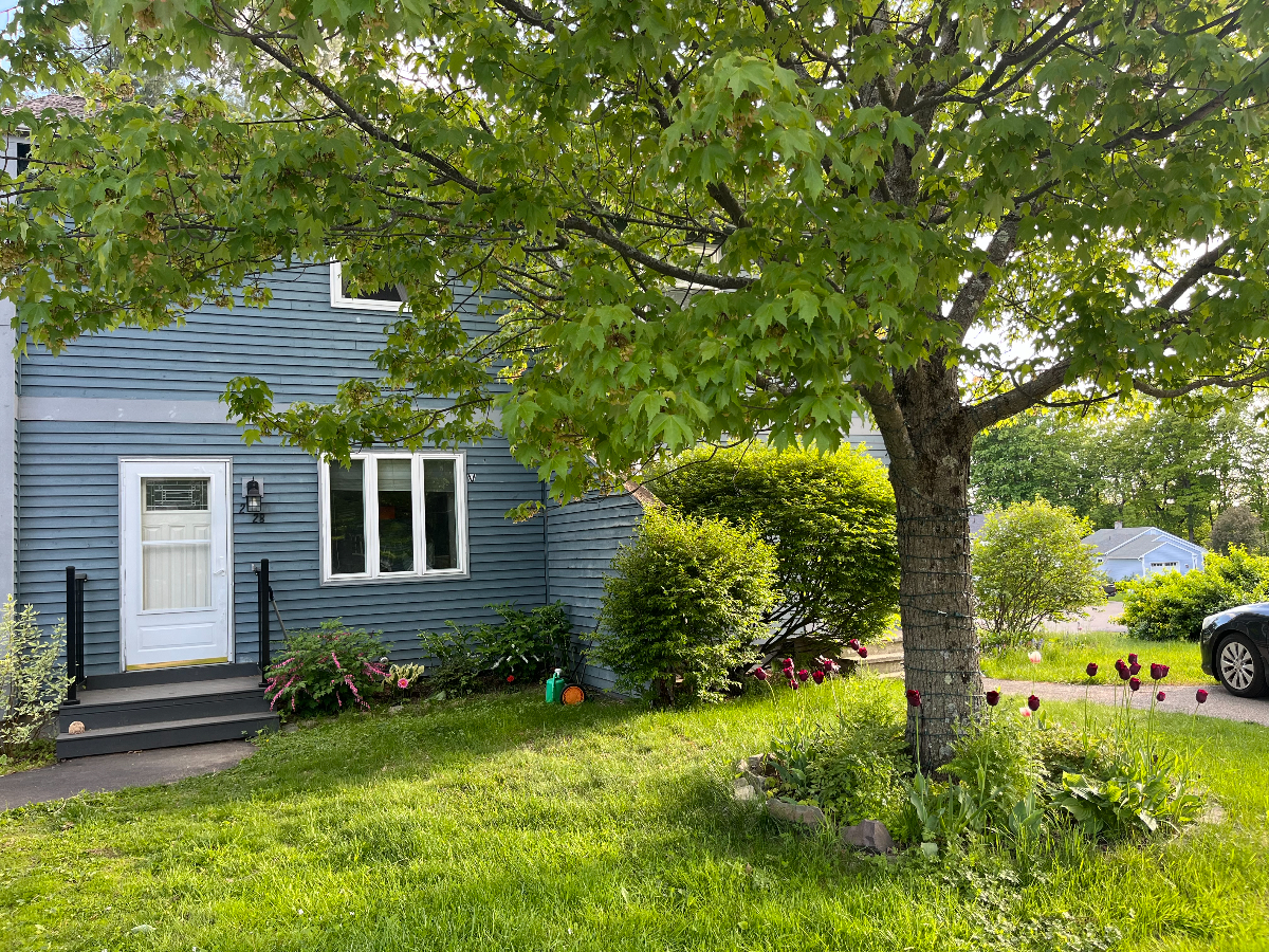 Warm & Inviting pet friendly 2br/ 1.5ba with fenced-in backyard & covered parking - Photo 12