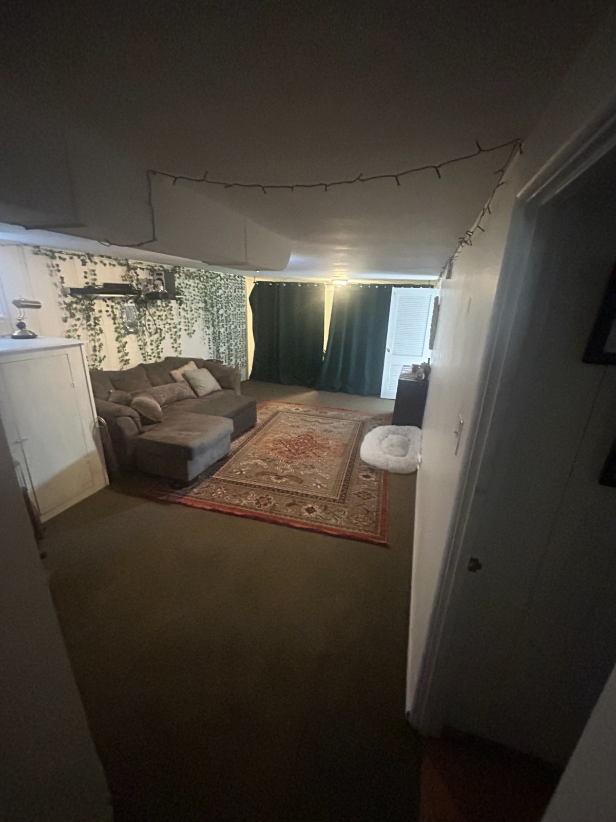 Comfortable furnished room with workspace in vibrant Denver neighborhood - Photo 7