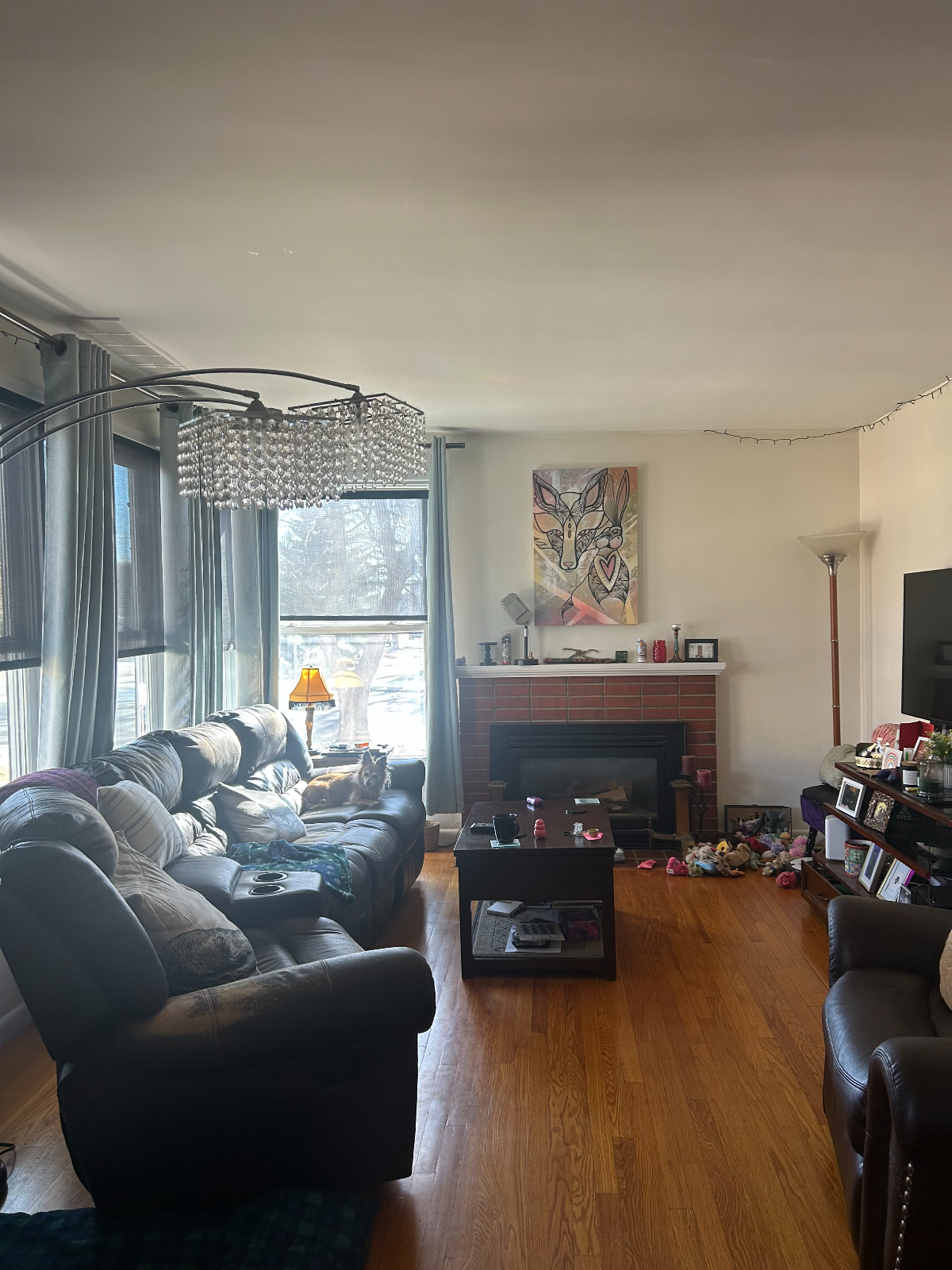 Comfortable furnished room with workspace in vibrant Denver neighborhood - Photo 5