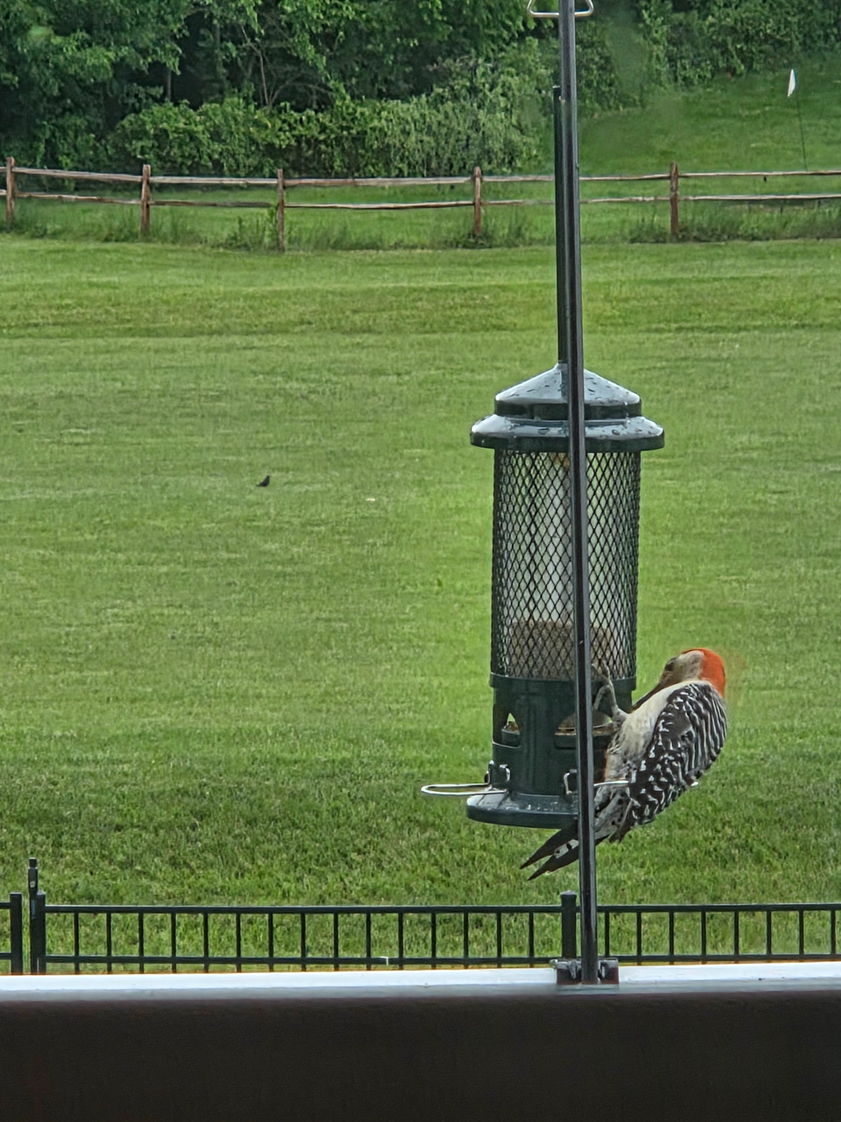 Conveniently Located Quiet Country Retreat - Photo 1