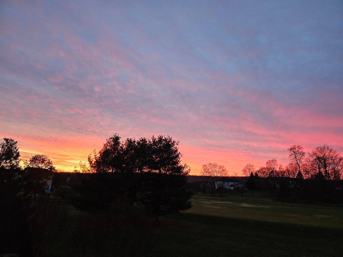 Conveniently Located Quiet Country Retreat - Photo 5