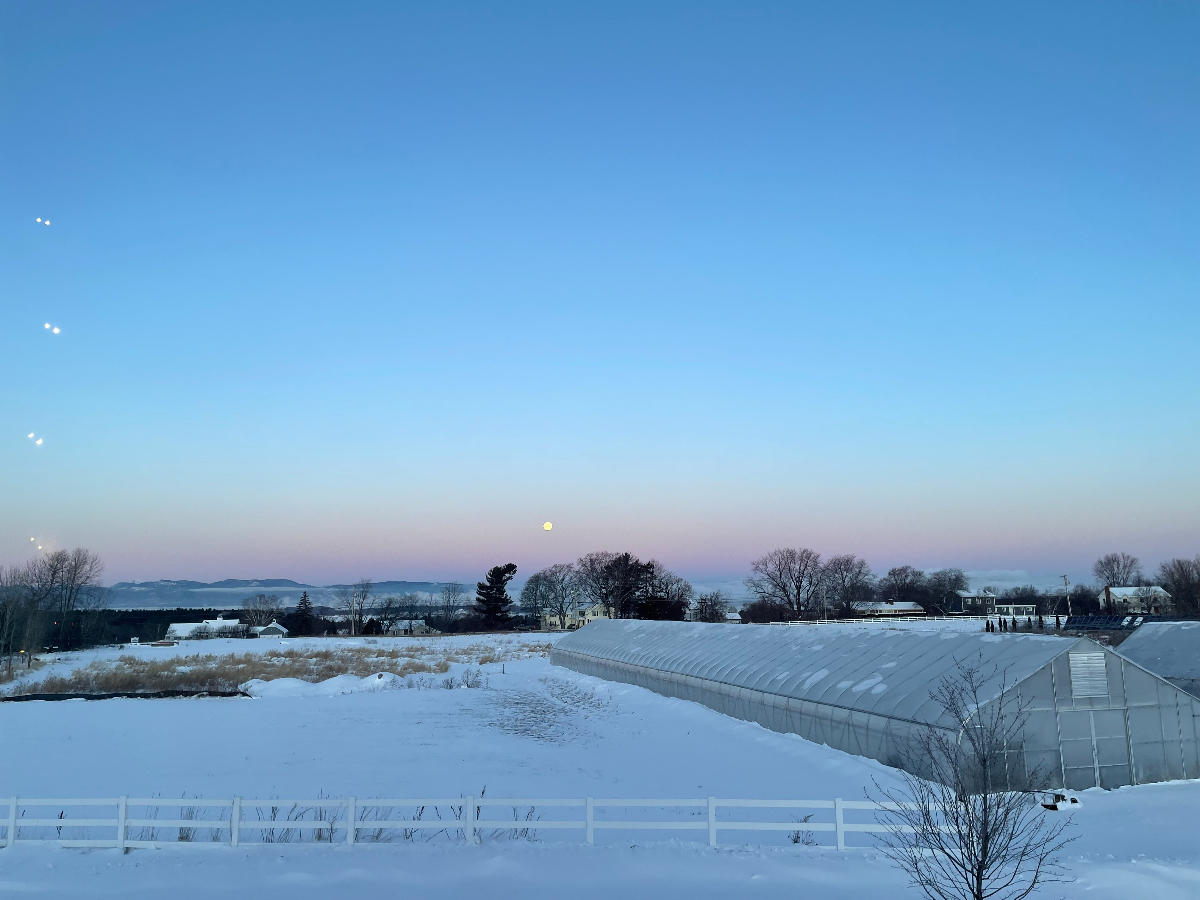 Easy drive to UVM and UVM Medical Center - bright, comfortable bedrooms in a welcoming home - minute - Photo 7