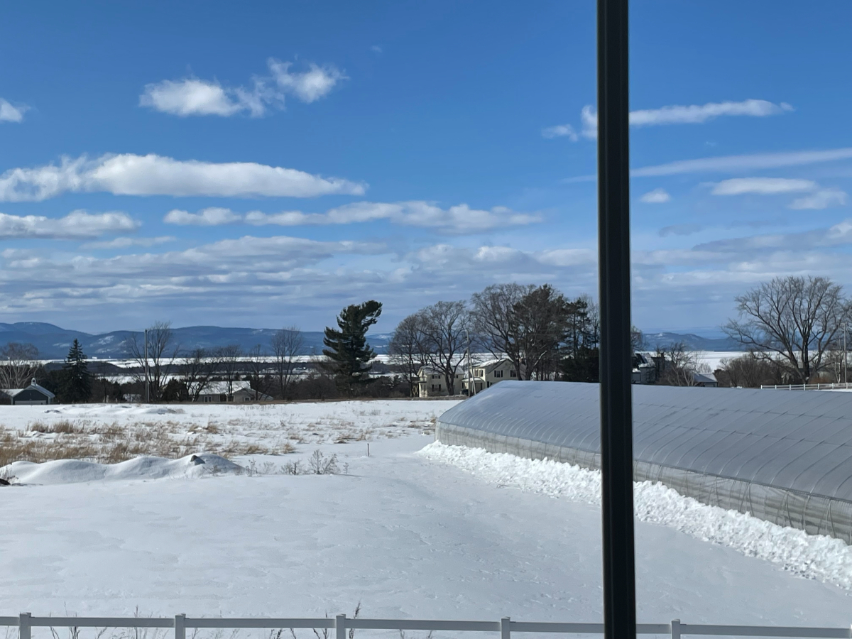 Easy drive to UVM and UVM Medical Center - bright, comfortable bedrooms in a welcoming home - minute - Photo 9