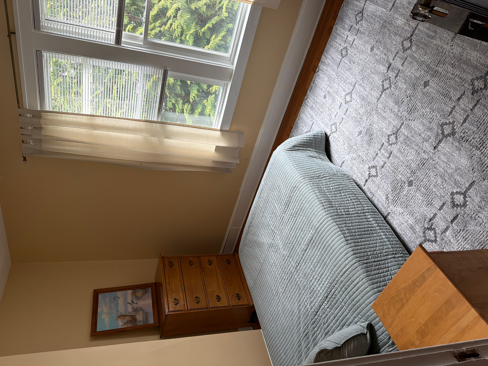 Furnished Home in Albany - Photo 1