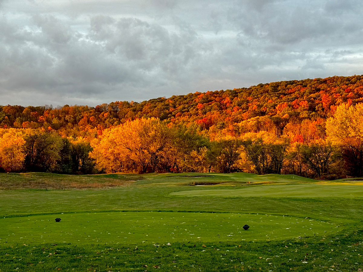 Caddy Shack - your golf, walk, hike or paddle pad - Photo 10