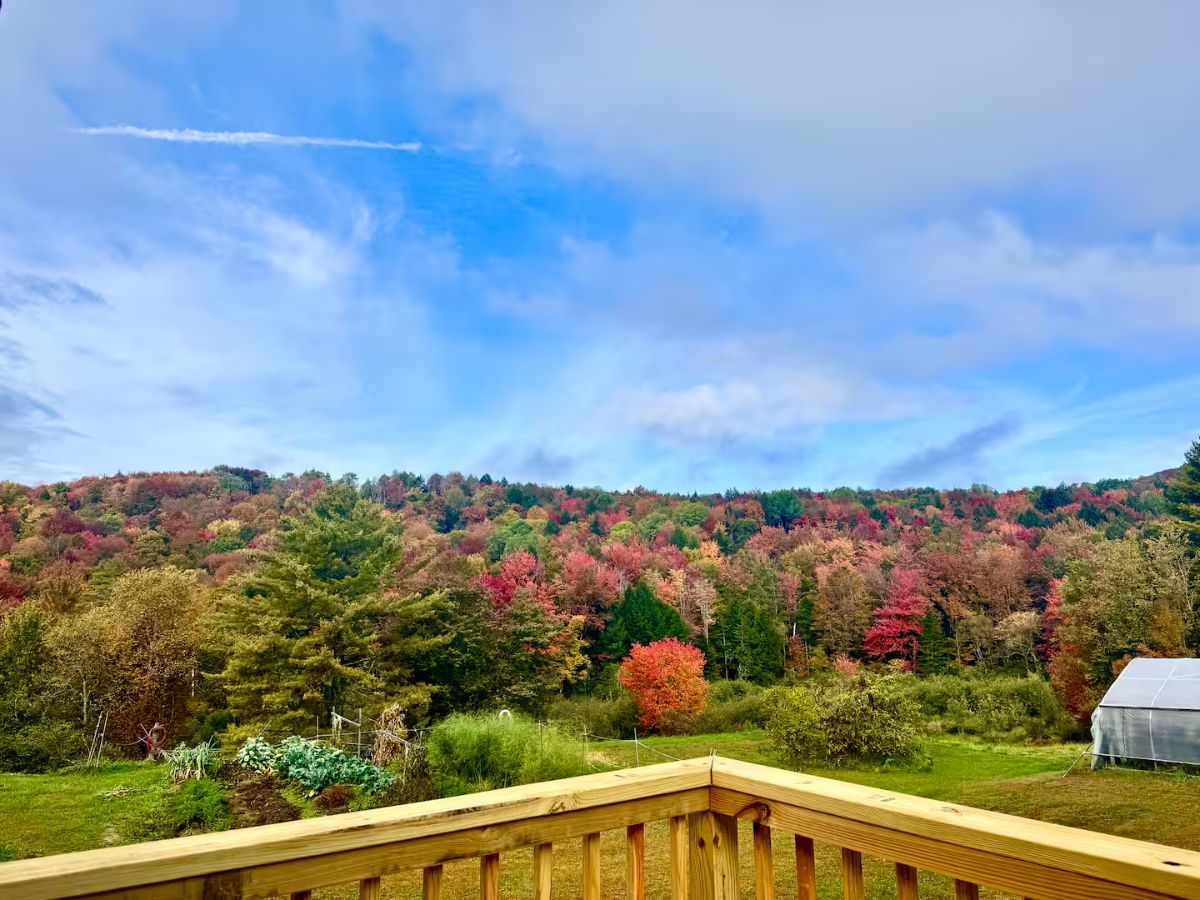 Treetop Retreat - Photo 8