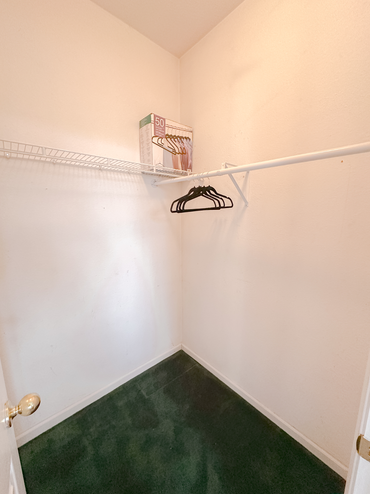 Charming Downstairs Room with Private Bath in Quiet Martinez Home -- Shared Living with All Included - Photo 5
