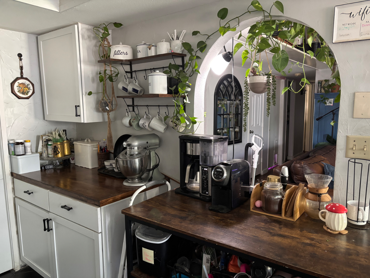 New Unit - Photo 2