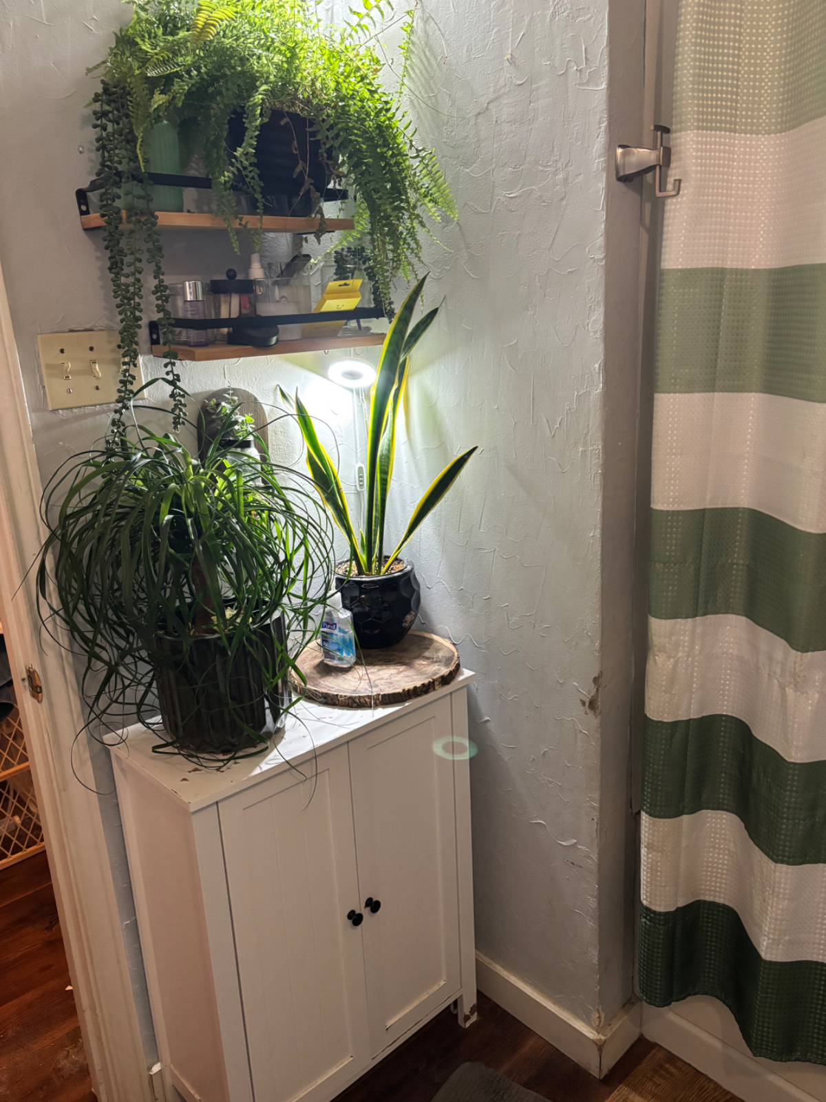 New Unit - Photo 9
