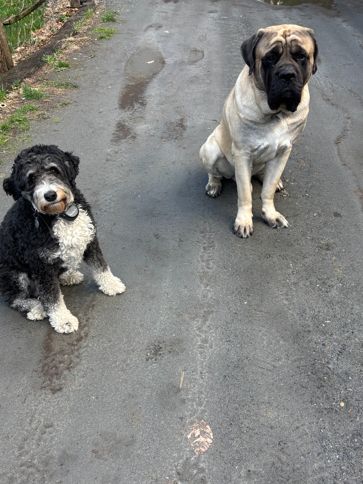 1/M and 2/C - Photo 3