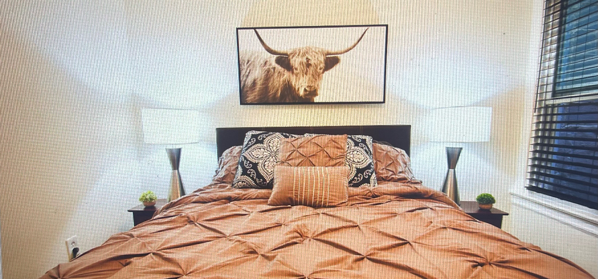 Capitol Hill NE Sunny 2 bedroom close to Union Station & US Capitol - Photo 8