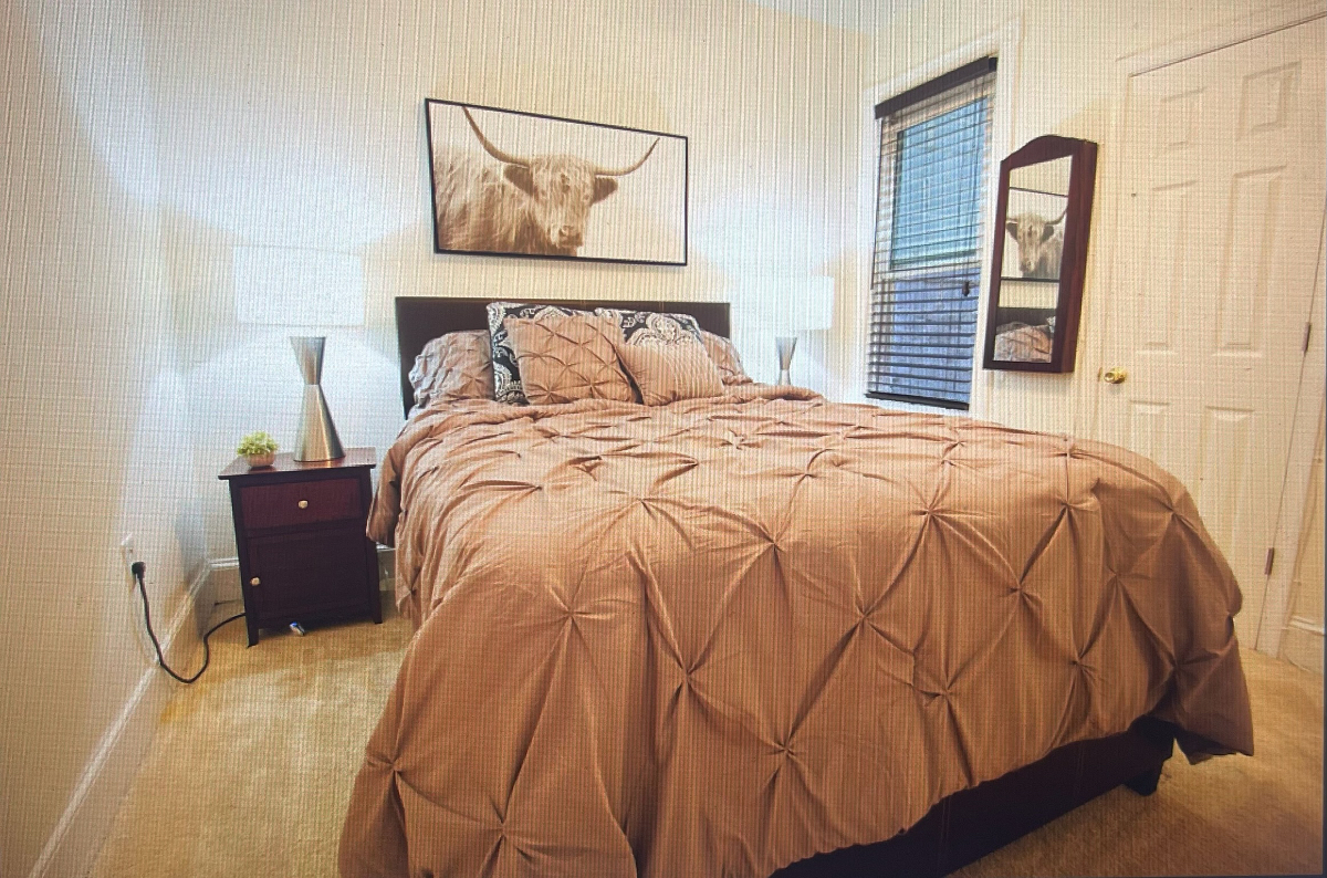 Capitol Hill NE Sunny 2 bedroom close to Union Station & US Capitol - Photo 7