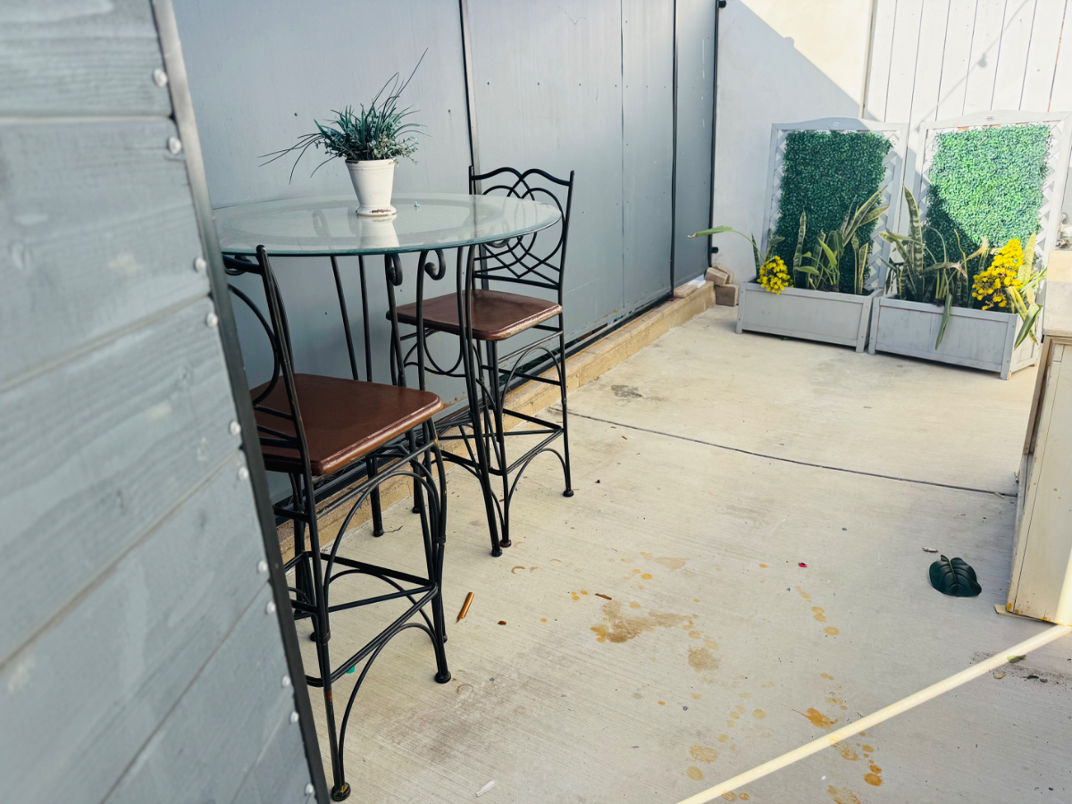 Sunny and Private Studio Adu in Quiet Neighborhood - Photo 4