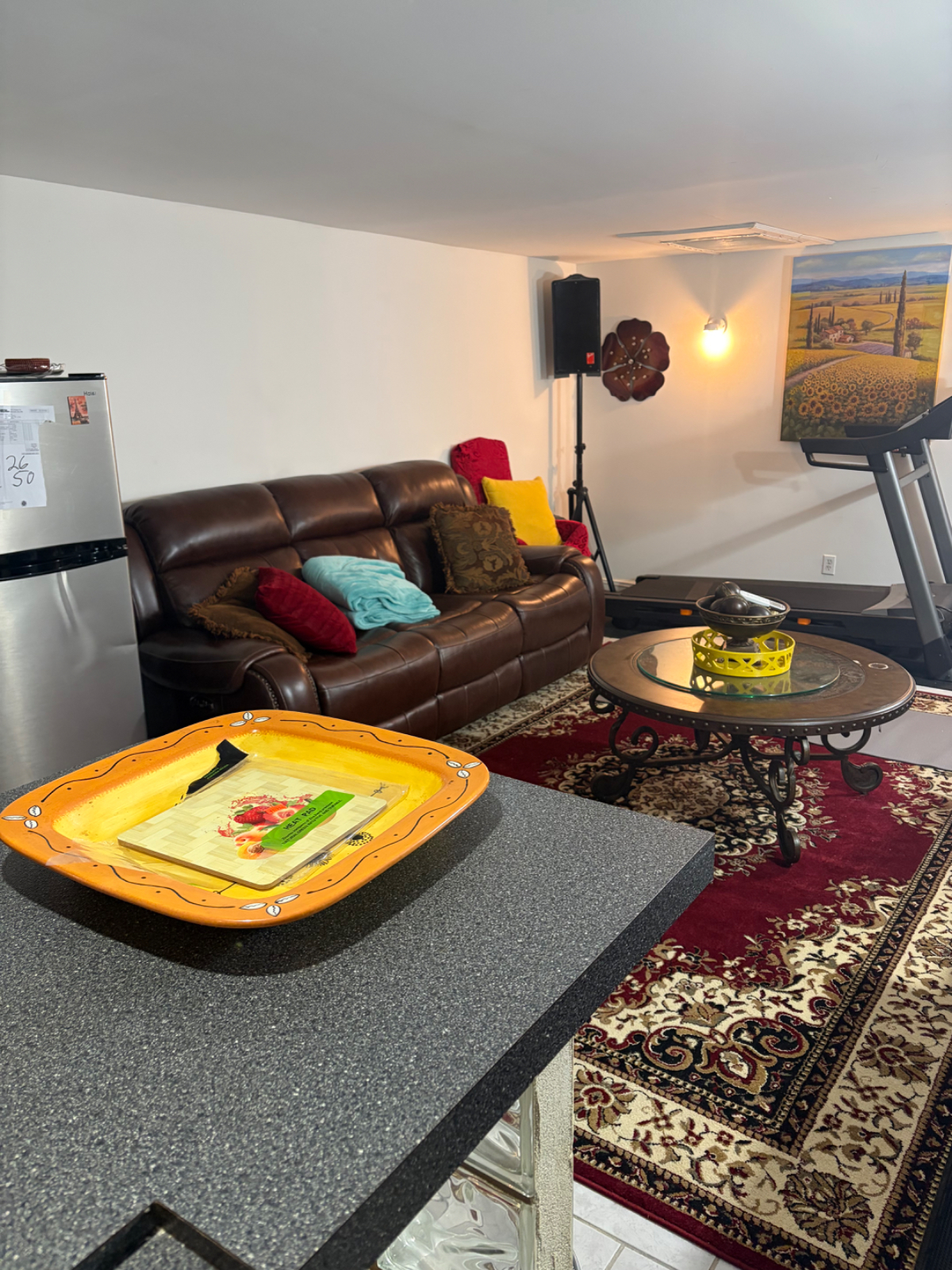 Private Lower-Level Living Space in Owner Occupied Home - Photo 5