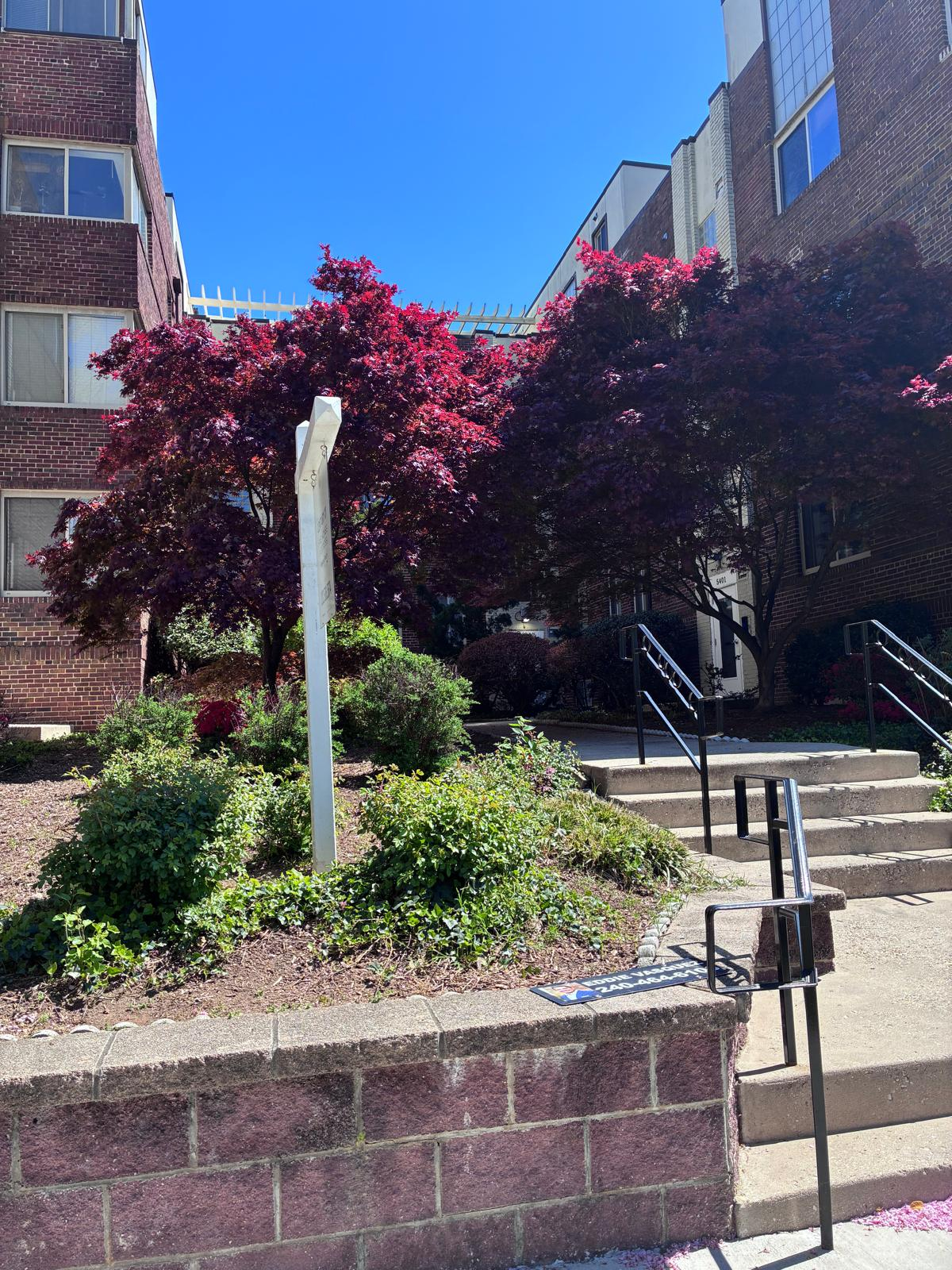 5407 9th Street NW DC 20011 - Photo 12