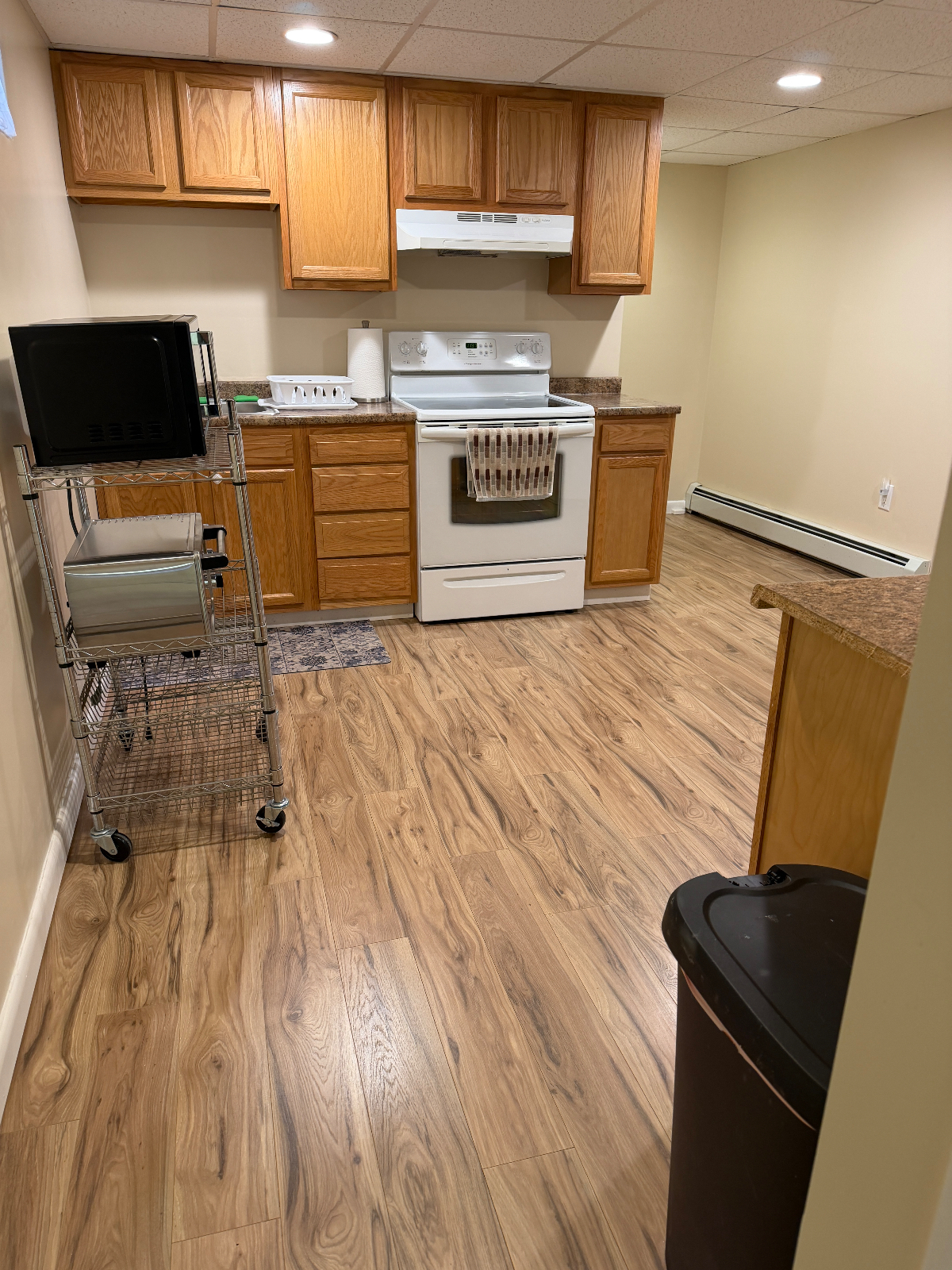 Beautiful Basement Apartment - Photo 6