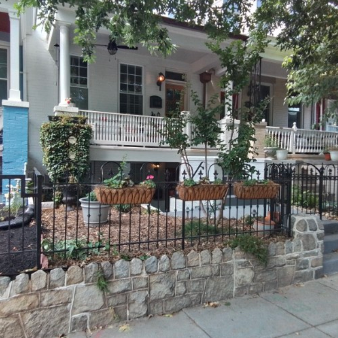 Furnished 1BR English Basement - Walk to Union Station, Union Market & H St - Photo 1