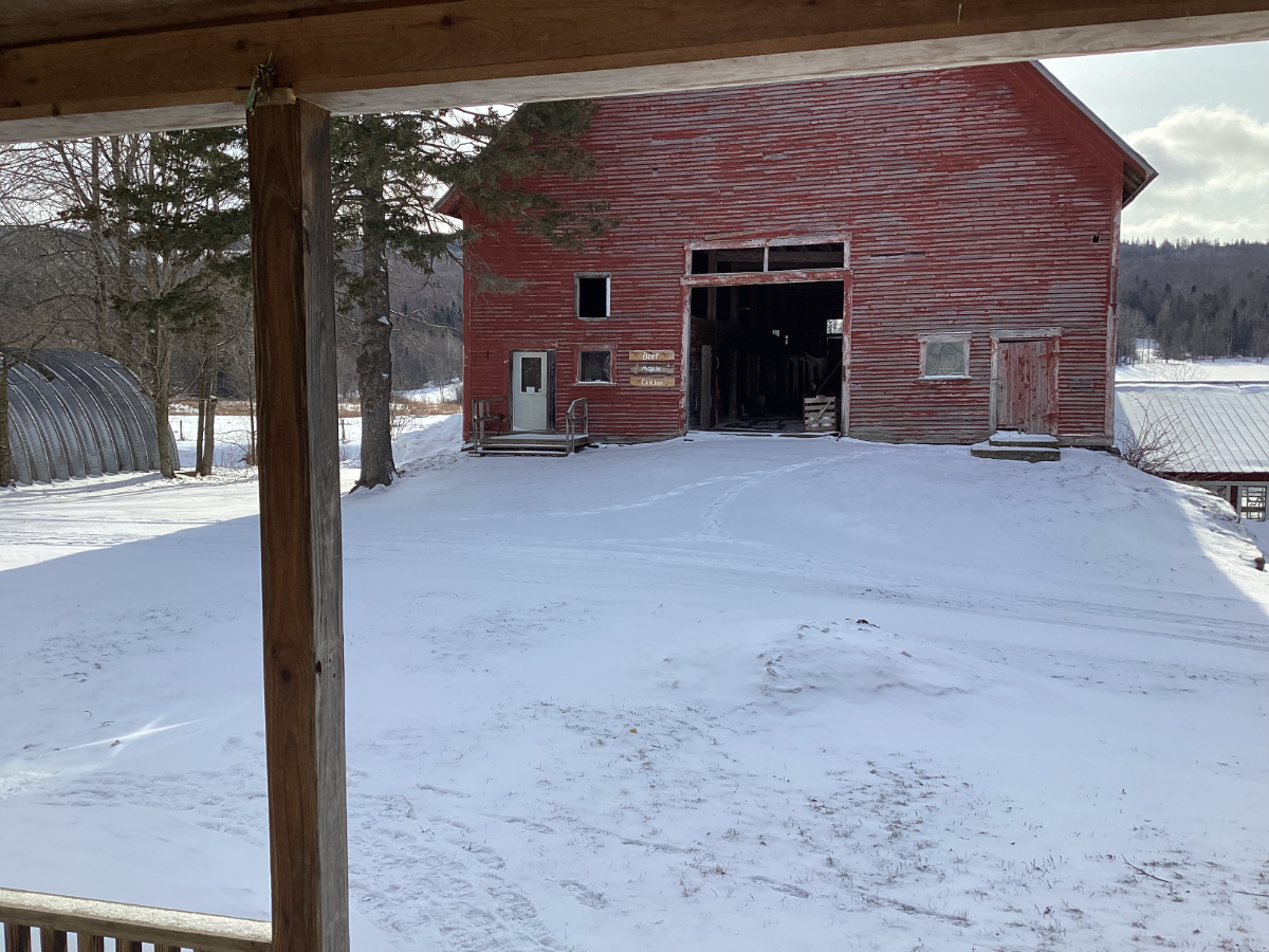 New Apartment on Beautiful Working Farm - Photo 4