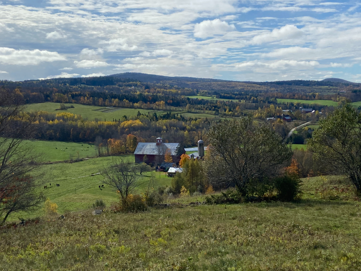 New Apartment on Beautiful Working Farm - Photo 1