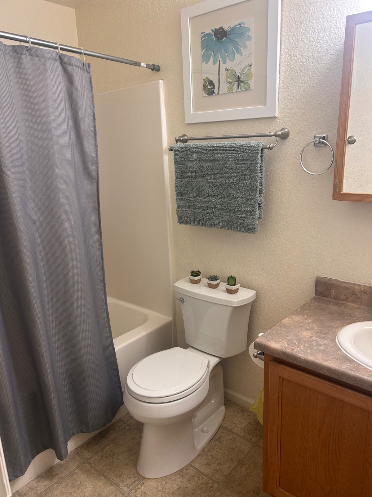 Cozy and Comfortable 2 bedroom 1.5 bath - Photo 6