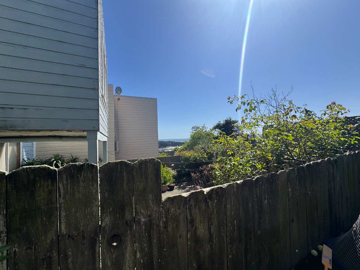 1 bed 1 bath Garden Access Steps from the Pacific - Photo 6