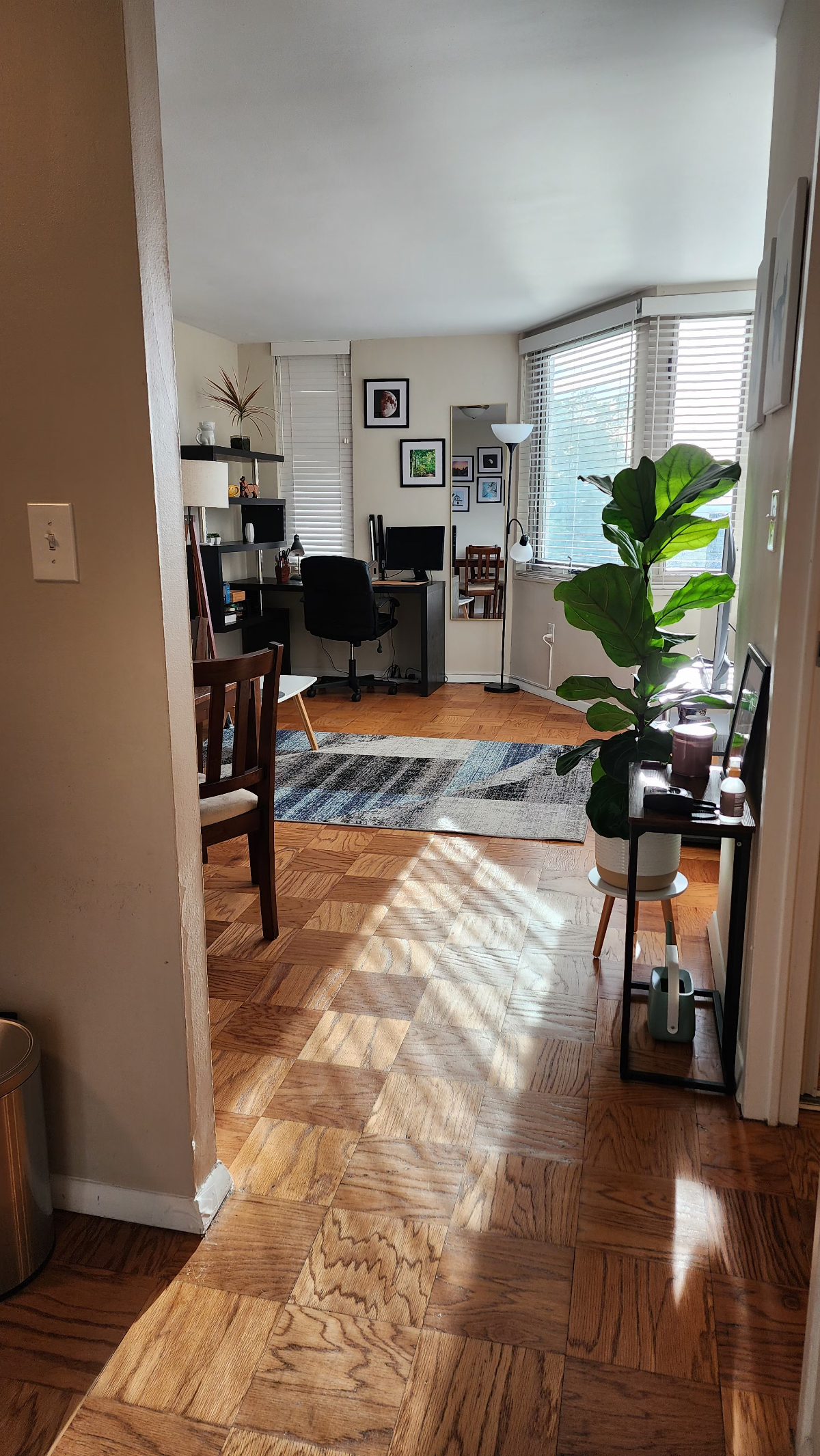 Peaceful, Private Studio with Easy Downtown Access- Ideal for Professionals & Travelers - Photo 3