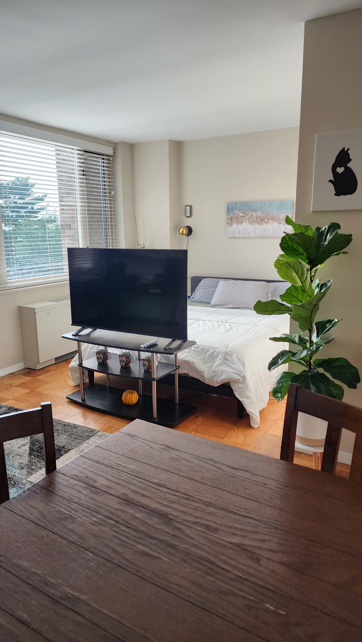 Peaceful, Private Studio with Easy Downtown Access- Ideal for Professionals & Travelers - Photo 11