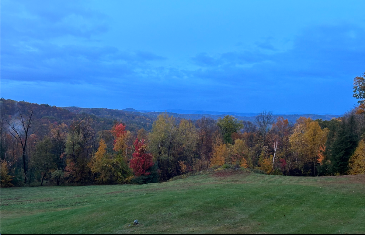 Private, Quiet Studio With Mountain Views - Photo 10