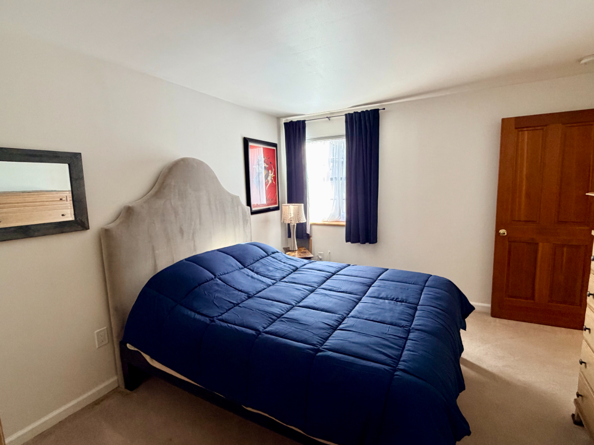 Bright, spacious garden apartment in quiet Inner Richmond neighborhood - Photo 3