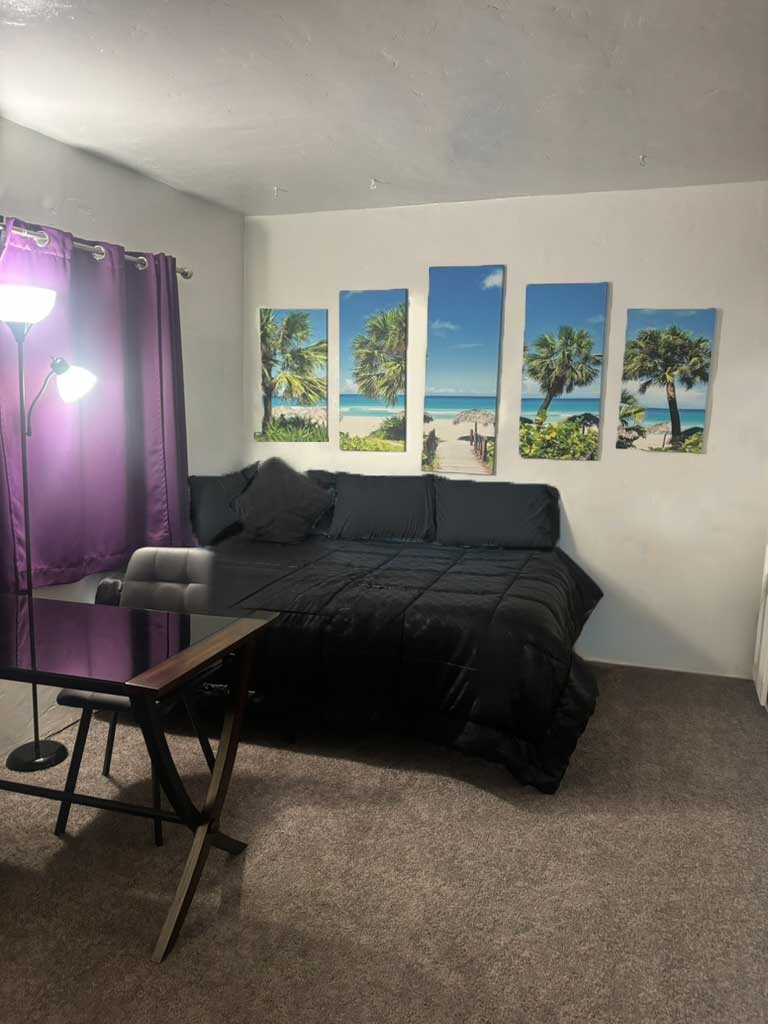 Garden Entry Furnished Private Room - Photo 3
