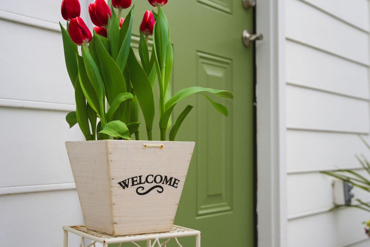 Comfortable 1BR Cottage Near Downtown & Hospital - Ideal for Working Professionals
