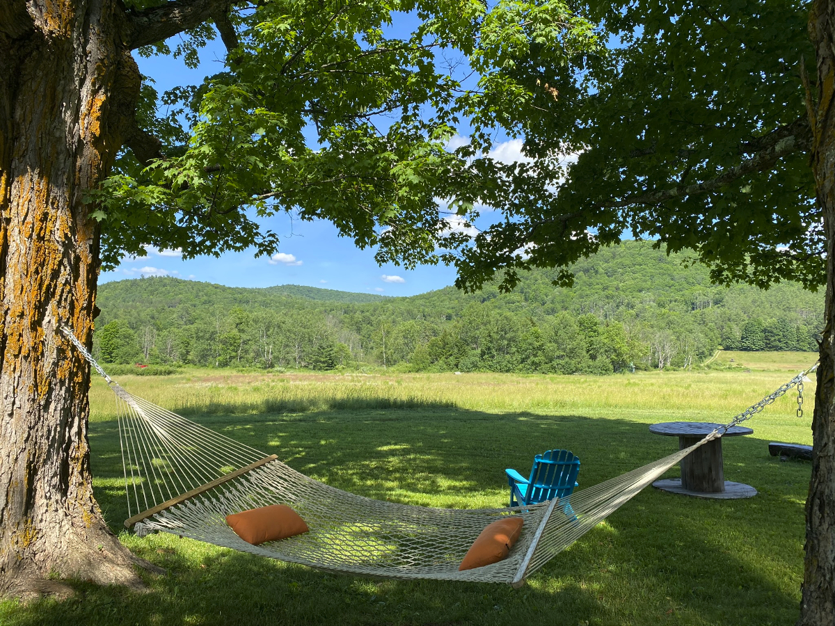 25 Acre Mountain Playground, Okemo Valley, 2 Bedroom, 2 Bathroom - Photo 4