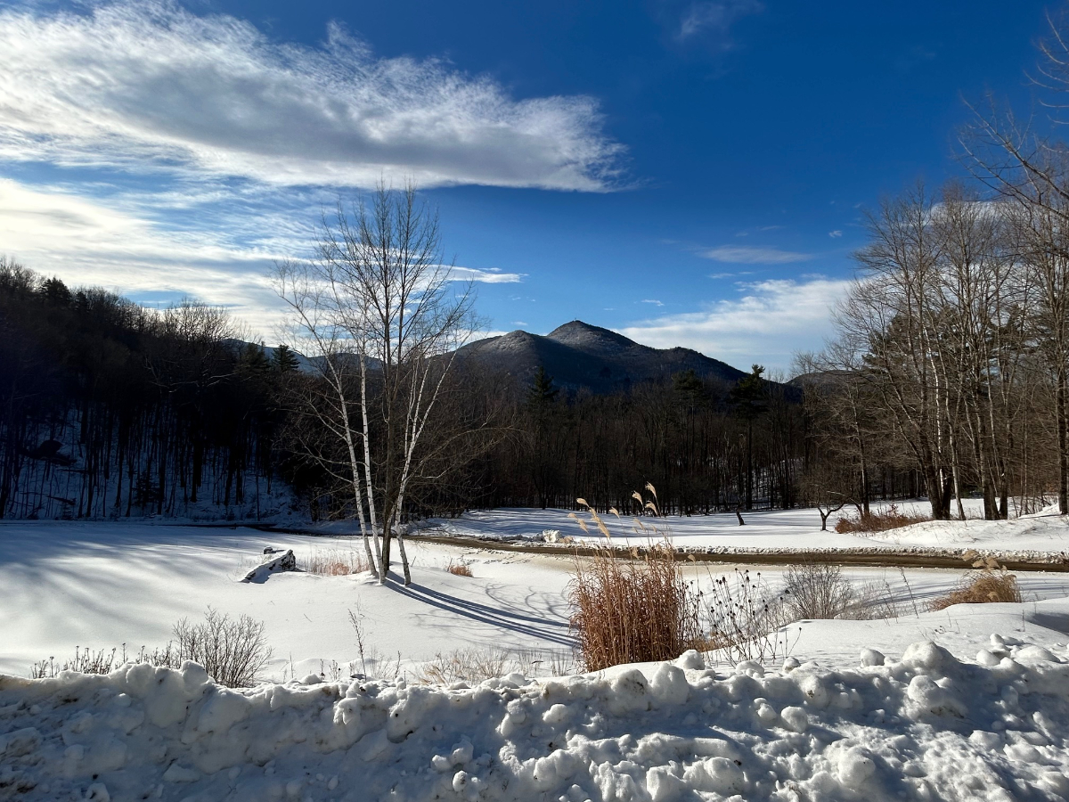 The Acker Sand Hill House - Photo 1