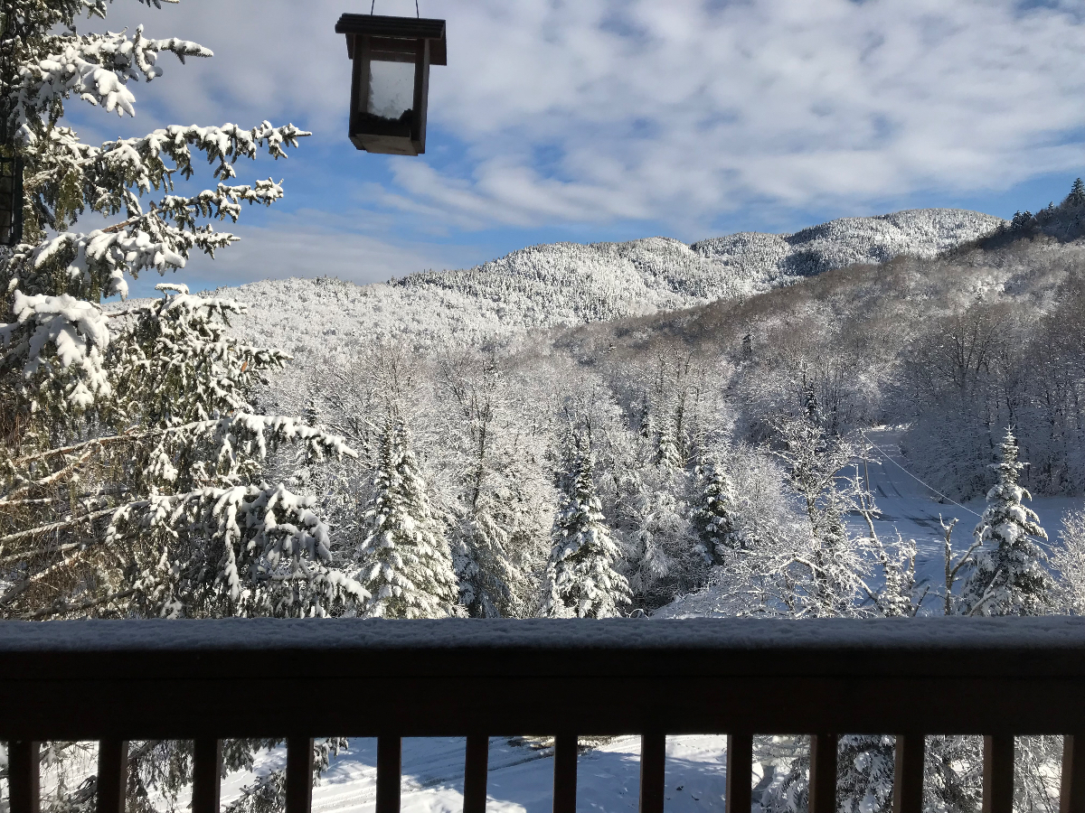Mountain View Condo - Photo 9