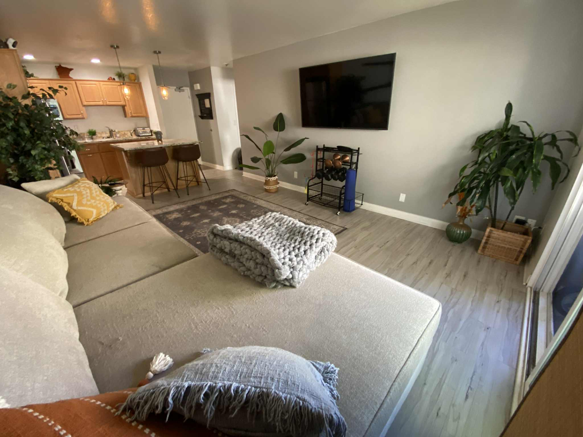 Dog Friendly Beach City Rental - Photo 4