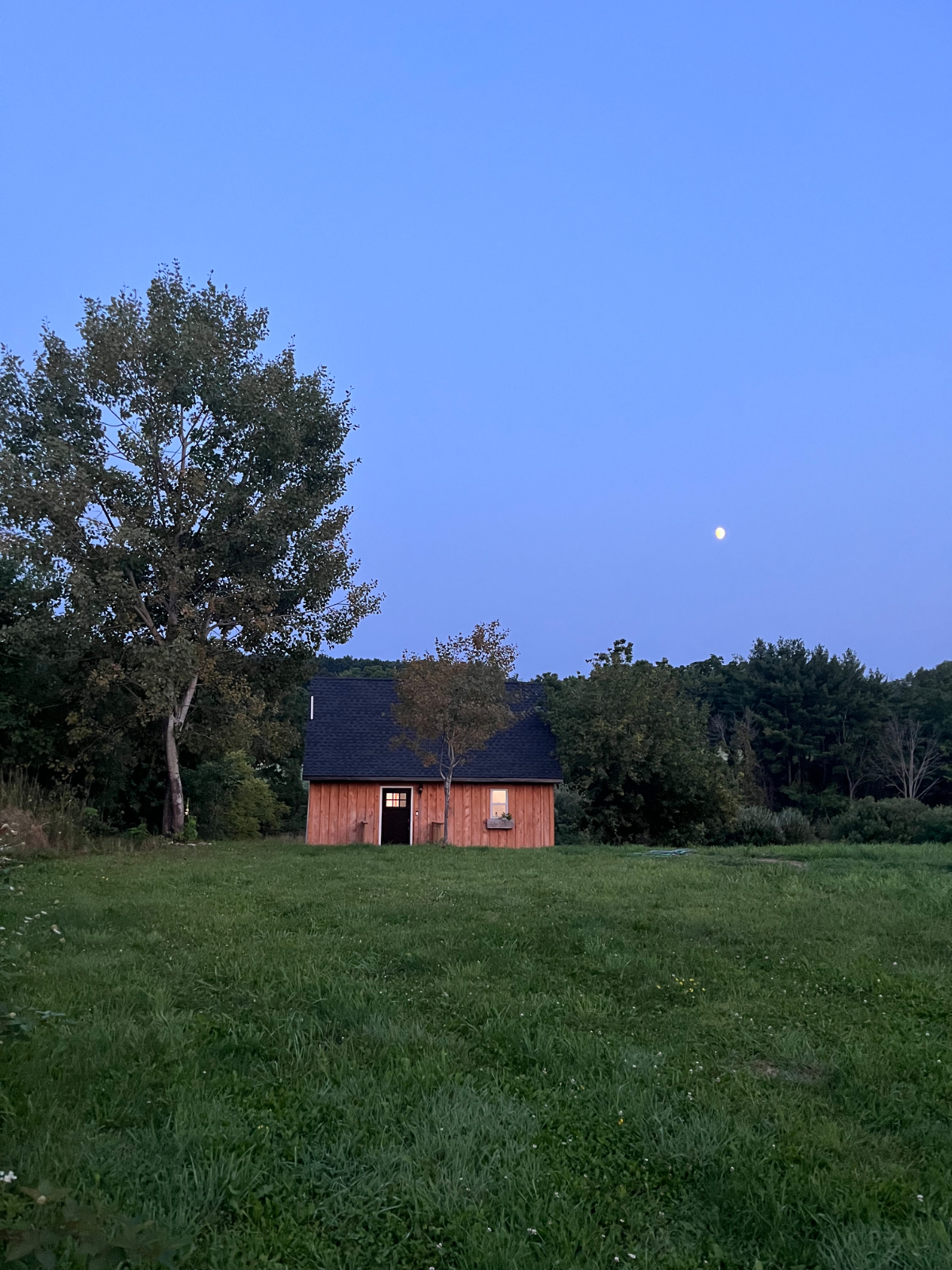 Cozy Finger Lakes Cabin - Photo 9