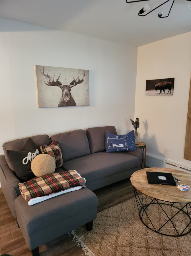 Modern 1BR Retreat Steps from Lake Placid Village - Photo 1