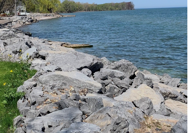 Beautiful Lakefront Property - Photo 3
