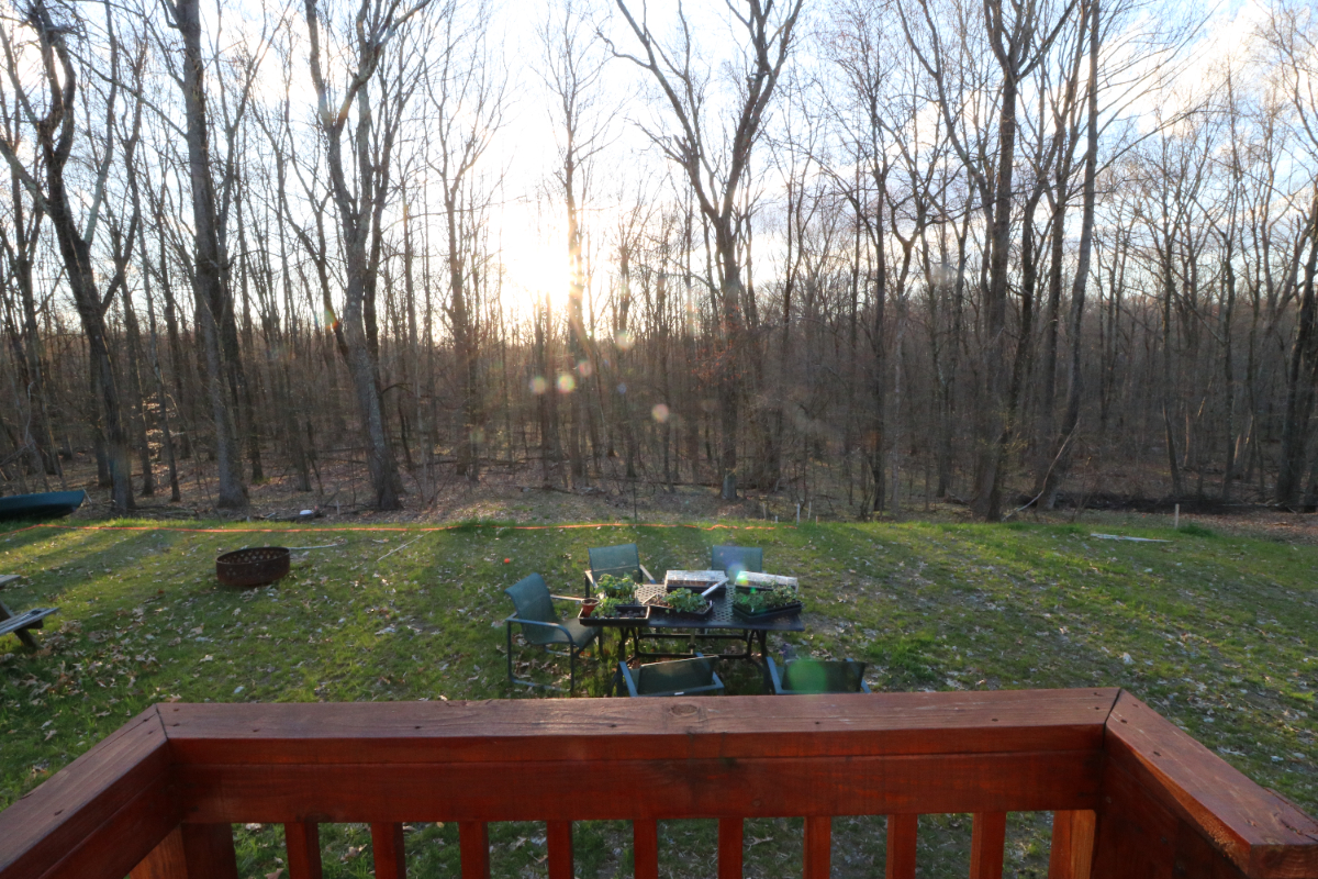Private Fully Furnished Apartment in Convenient Location - Photo 9
