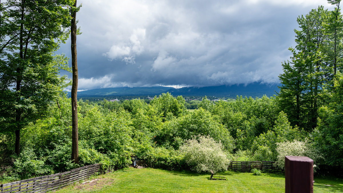 Panoramic Mountain Views - Renovated Home w/ Fiber WiFi, EV Charger, & Peloton - Near 3 Ski Resorts - Photo 11