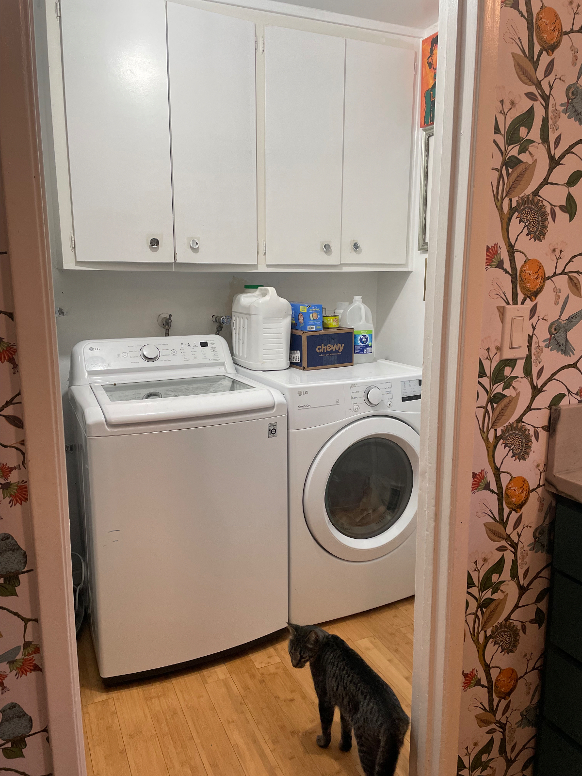 New Unit - Photo 4