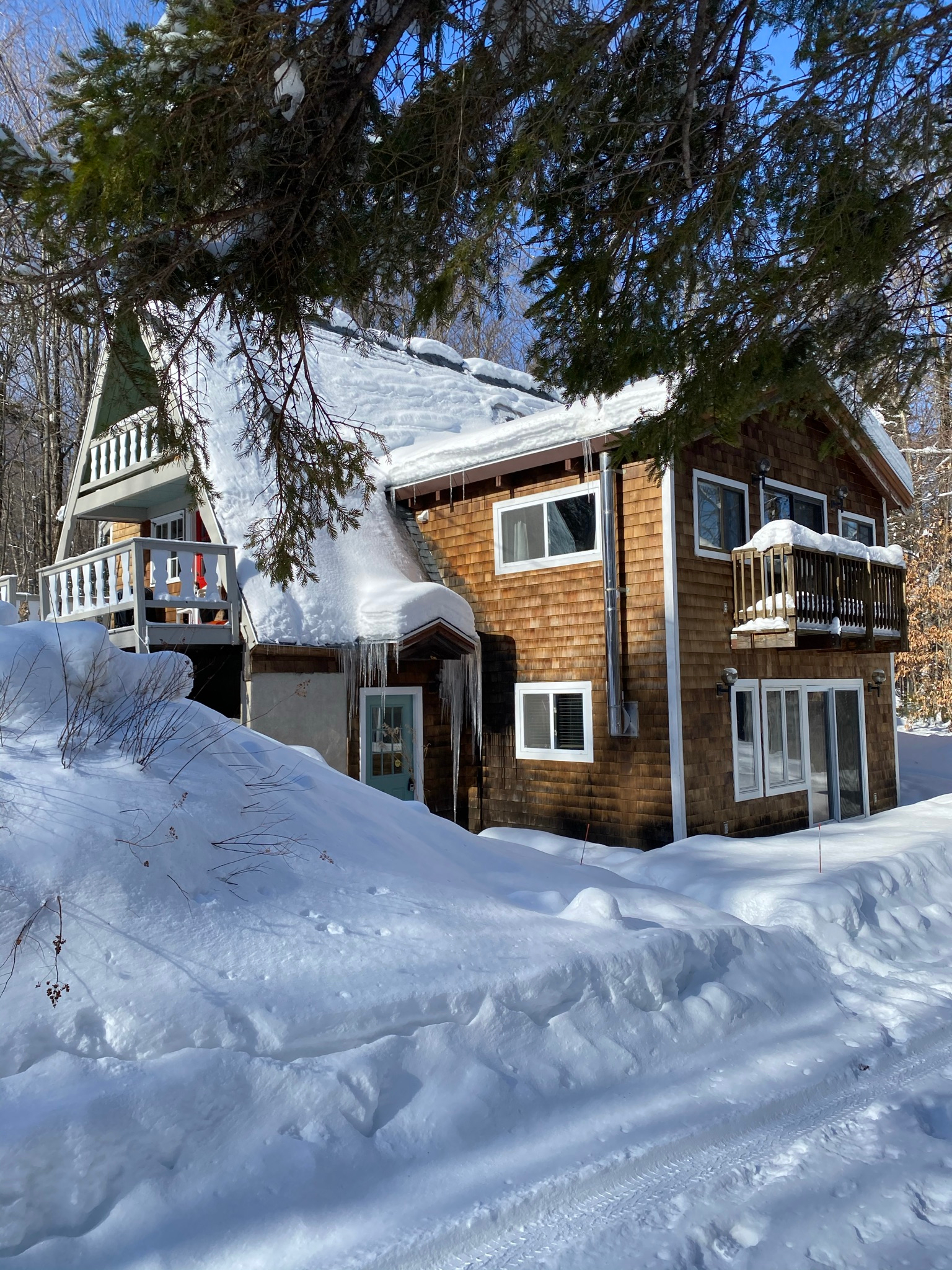 Winter Seasonal Rental: 2 Bedroom - Pet Friendly - 1 mile from Mt Snow - Photo 1