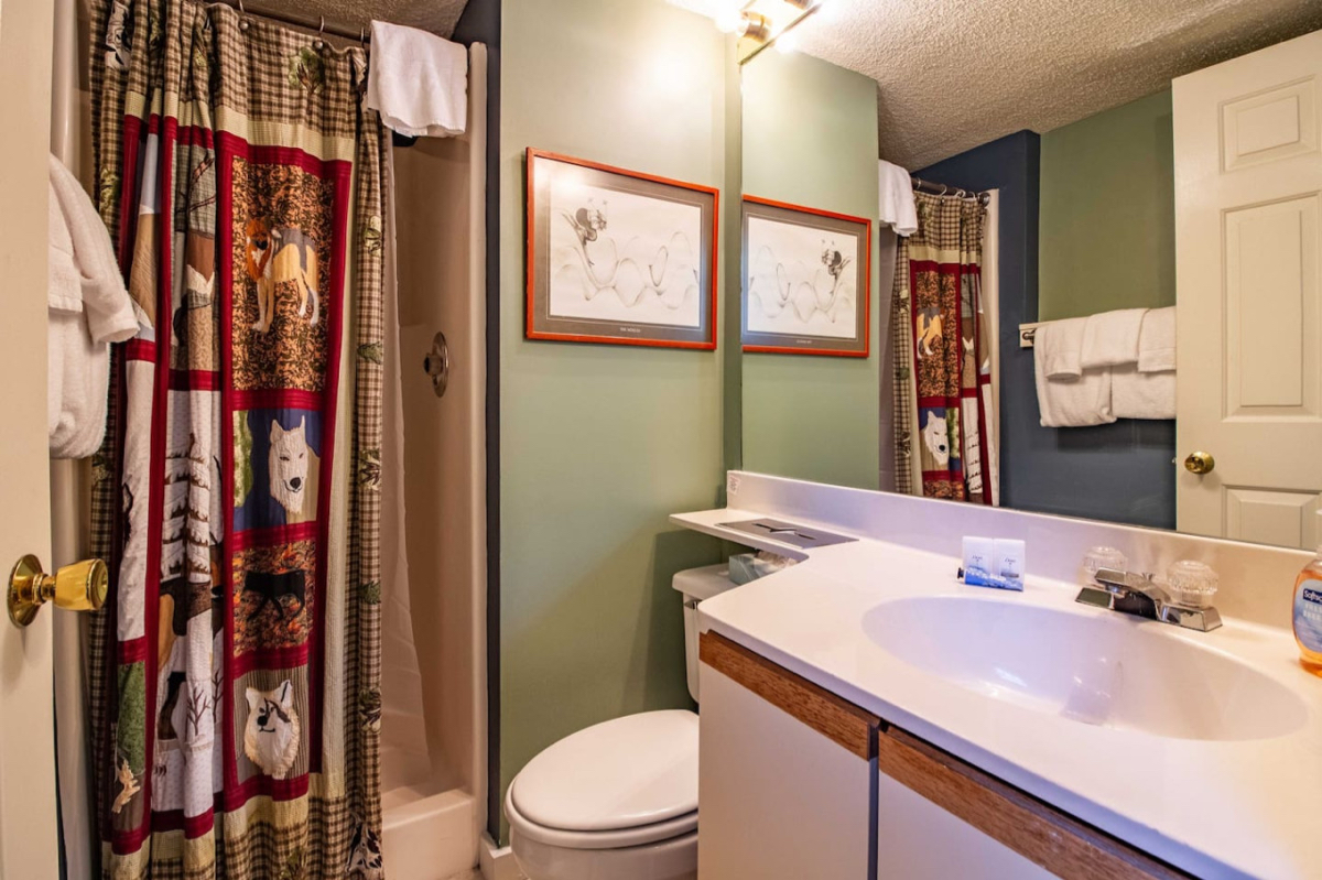 Cozy Condo at Winterplace in Okemo - Photo 10