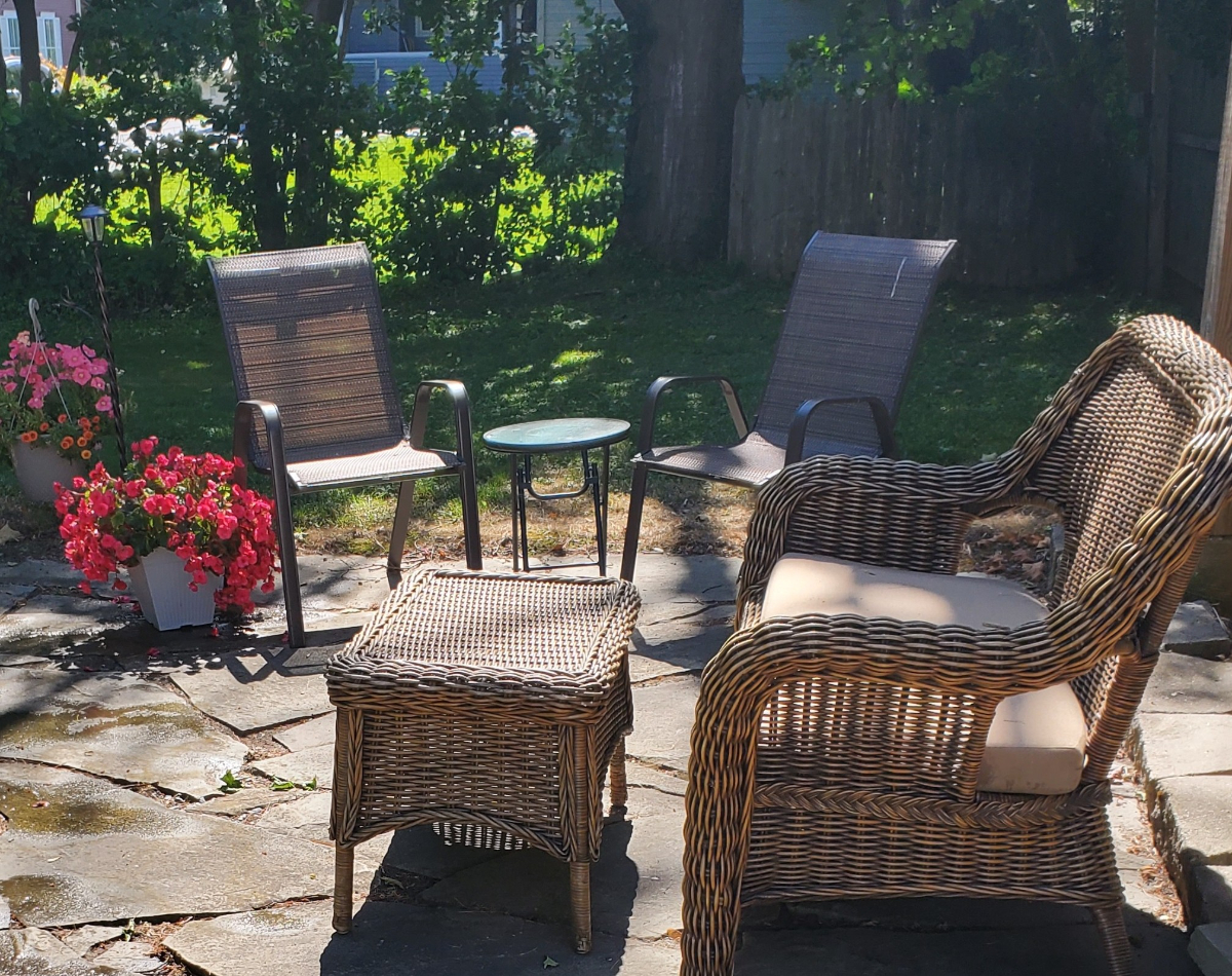 Fully Furnished, Large, Nice Downstairs Apartment with Yard - Photo 10